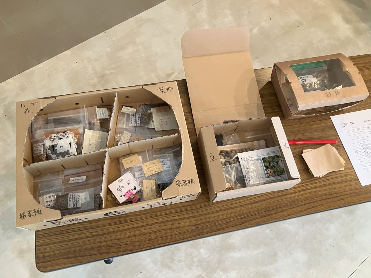 春日井市から倶知安町に届いた種子