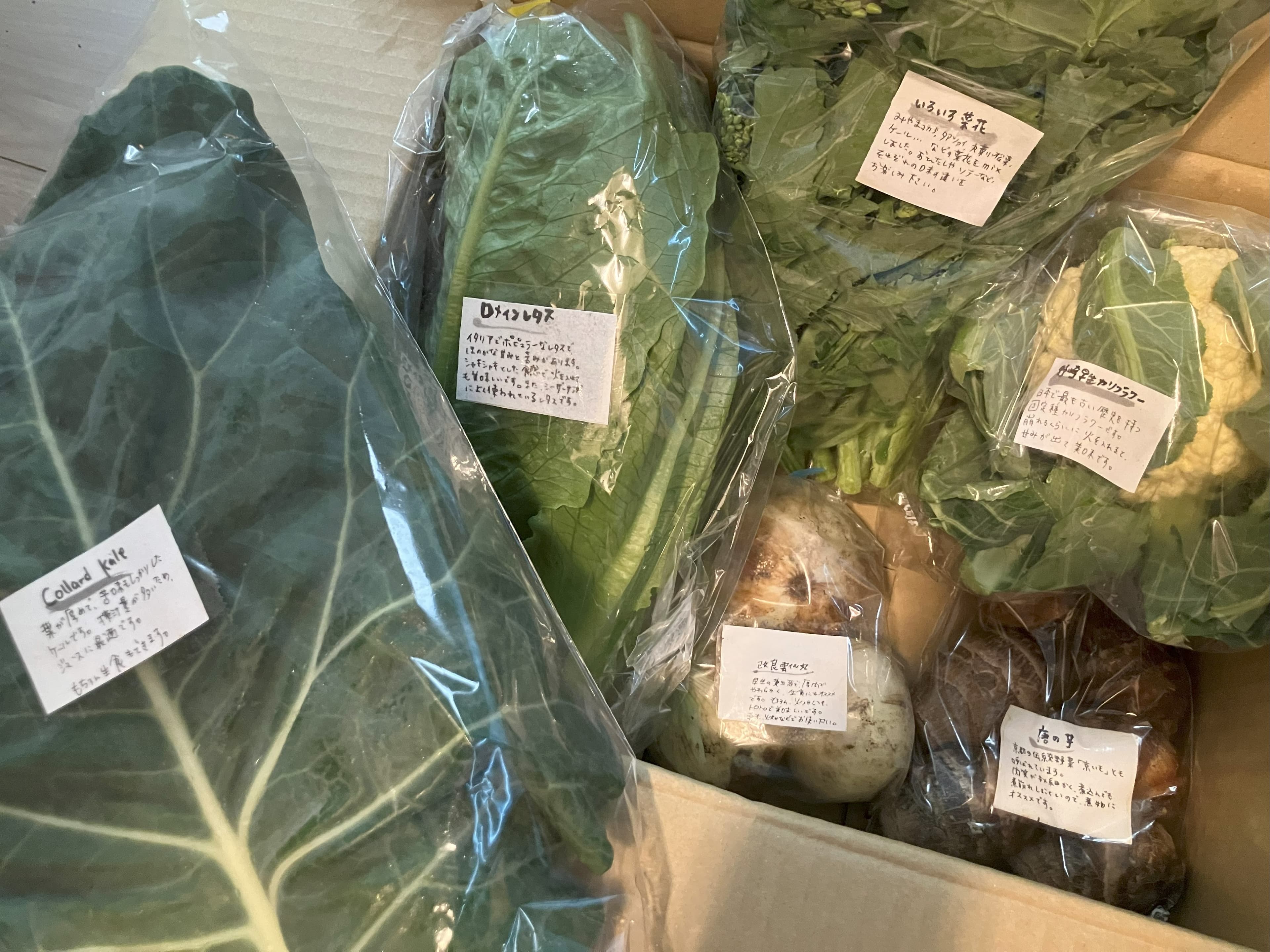 ケールファームの野菜セットその1
4月なのでアブラナ科が多め
みやま子カブの菜の花はニンニクとじっくり煮込むと美味しい