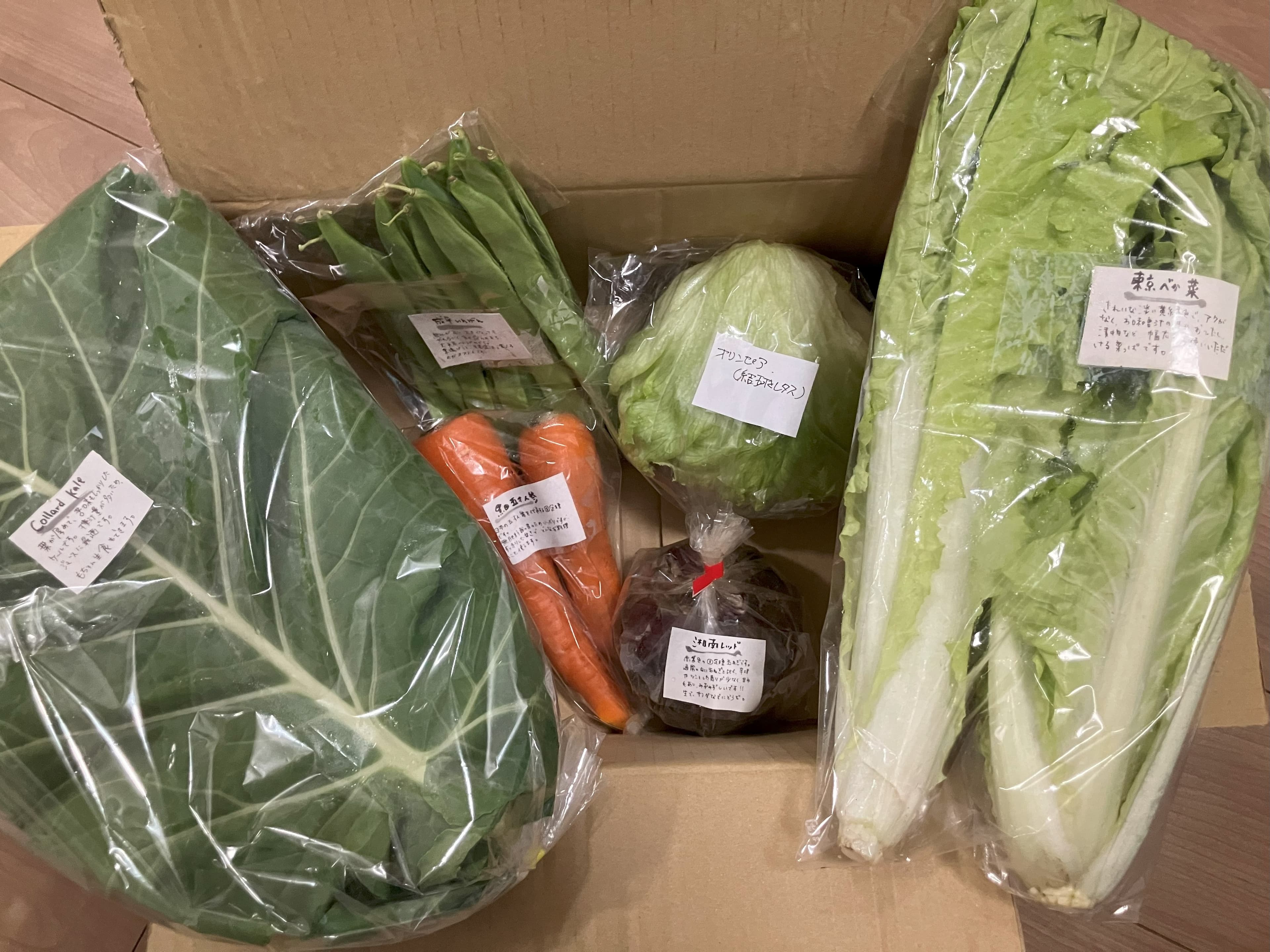 ケールファームの野菜セットその2
6月なので夏野菜も少しある
東京べか菜は炒め物がよく合う