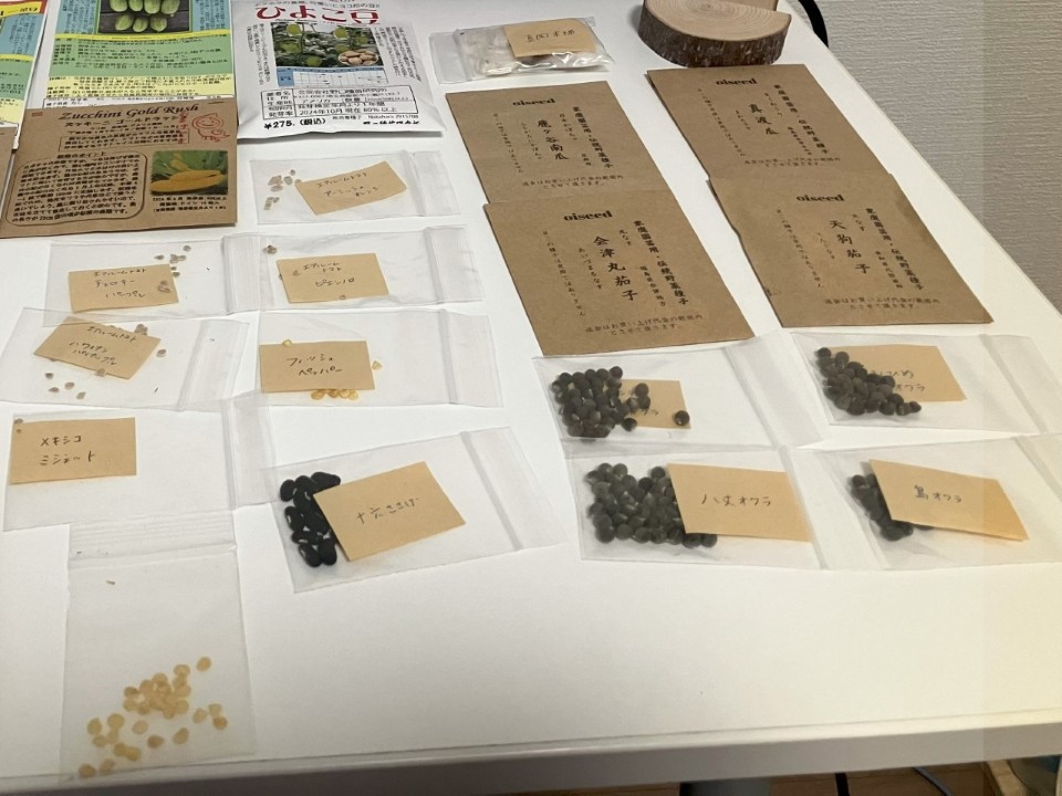 2025/2/9 春日井市のオンライン種交換会でもらった種