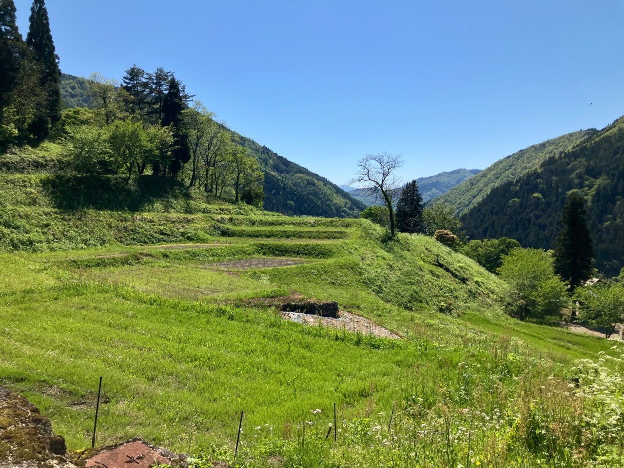 2026/5/5 岐阜県飛騨市 種蔵集落