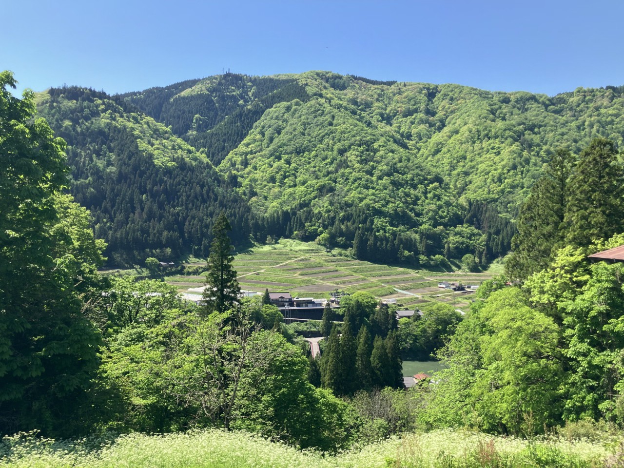 石積みの棚田が美しい