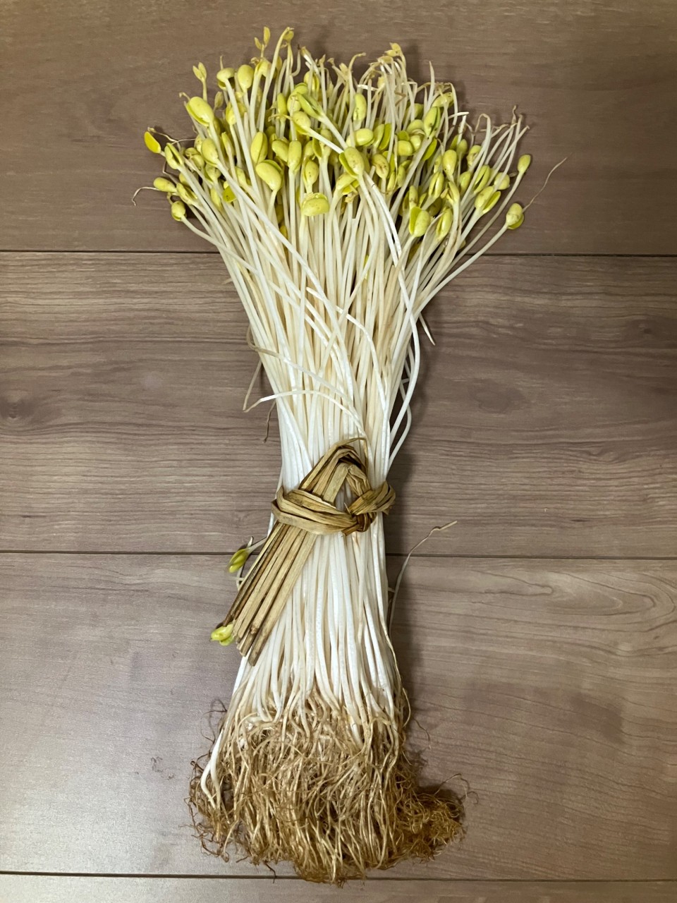 大鰐温泉もやし